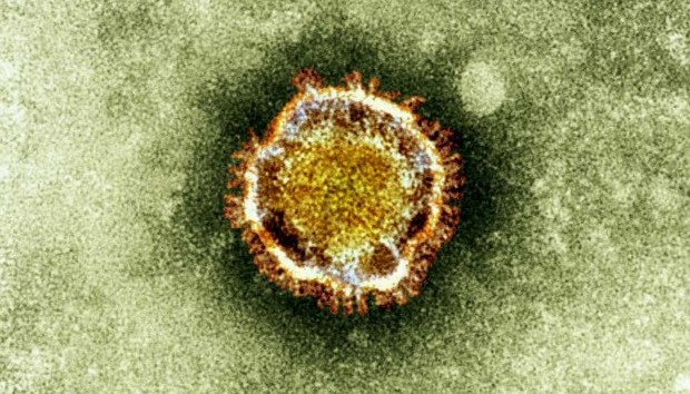 Saudi Health Ministry Confirms Coronavirus in Al-Ahsa