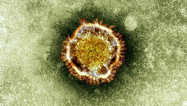 Second French coronavirus case confirmed