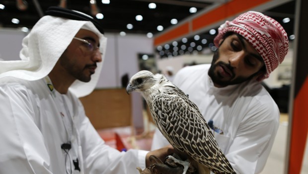 Abu Dhabi hunting exhibition combines heritage with technology
