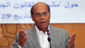 Tunisia's President Moncef Marzouki delivers a speech during a seminar with Tunisian officials and legal experts discussing the reinforcement of a law against "terrorism" in Tunis on October 29, 2013. (AFP PHOTO/FETHI BELAID)