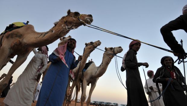 Millions set to flock to Saudi Janadriyah Festival
