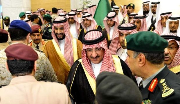 Saudis pledge allegiance to new princes