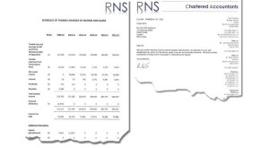 Two images for Cameron's Tax records as published by his office