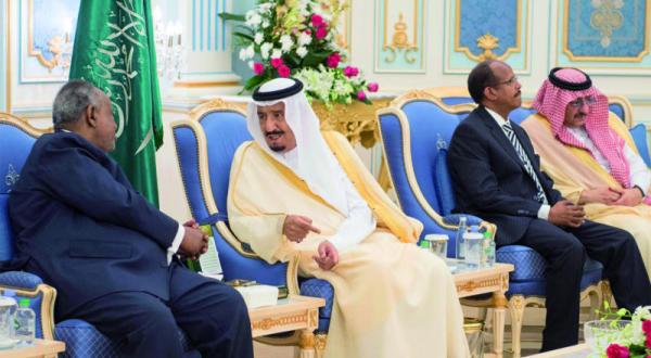 The Importance of the Saudi Military Presence in Djibouti
