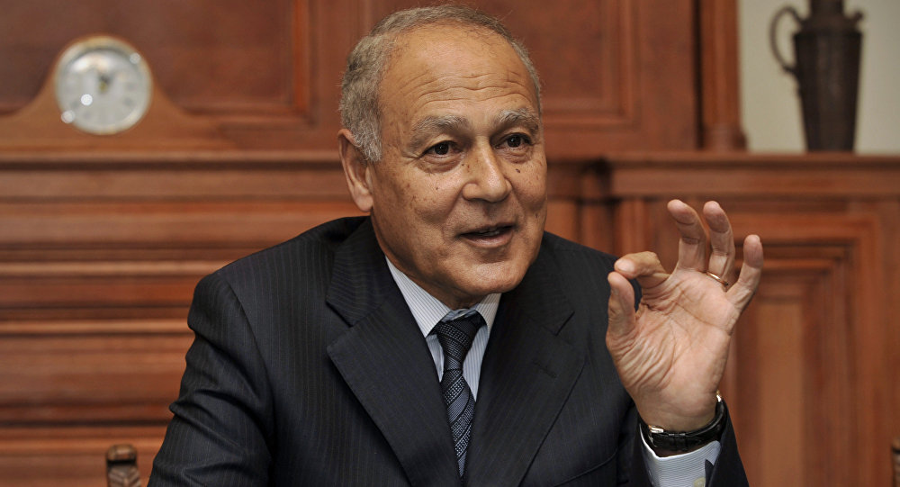 Aboul Gheit Receives Strong Arab Support