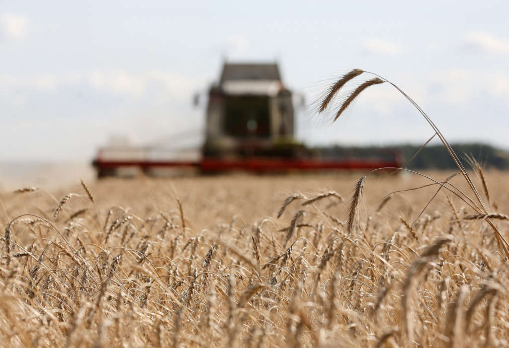 Russian Government Frees Grain Exporters from Taxes