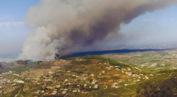 Fires Destroy Forests in the Latakia Countryside