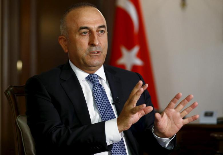 Turkish FM Calls for Immediate Truce in Syria