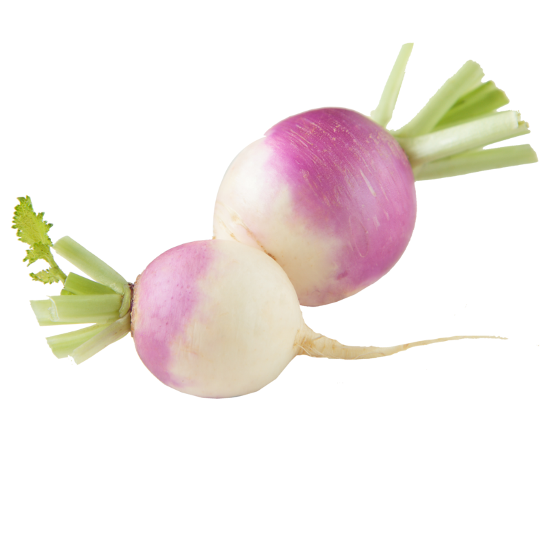 Turnip Boosts Height, Combats Osteoporosis