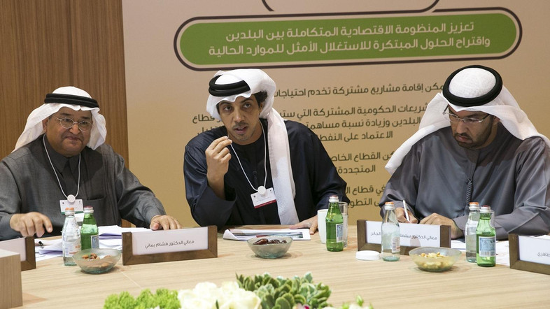 Saudi-UAE Coordination Council Meeting Kicks Off in Abu-Dhabi