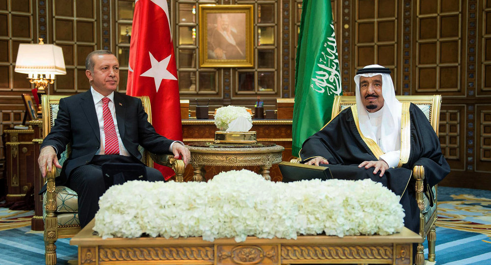 Saudi, Turkish Officials to Explore Joint Projects in Renewable Energy, Defense