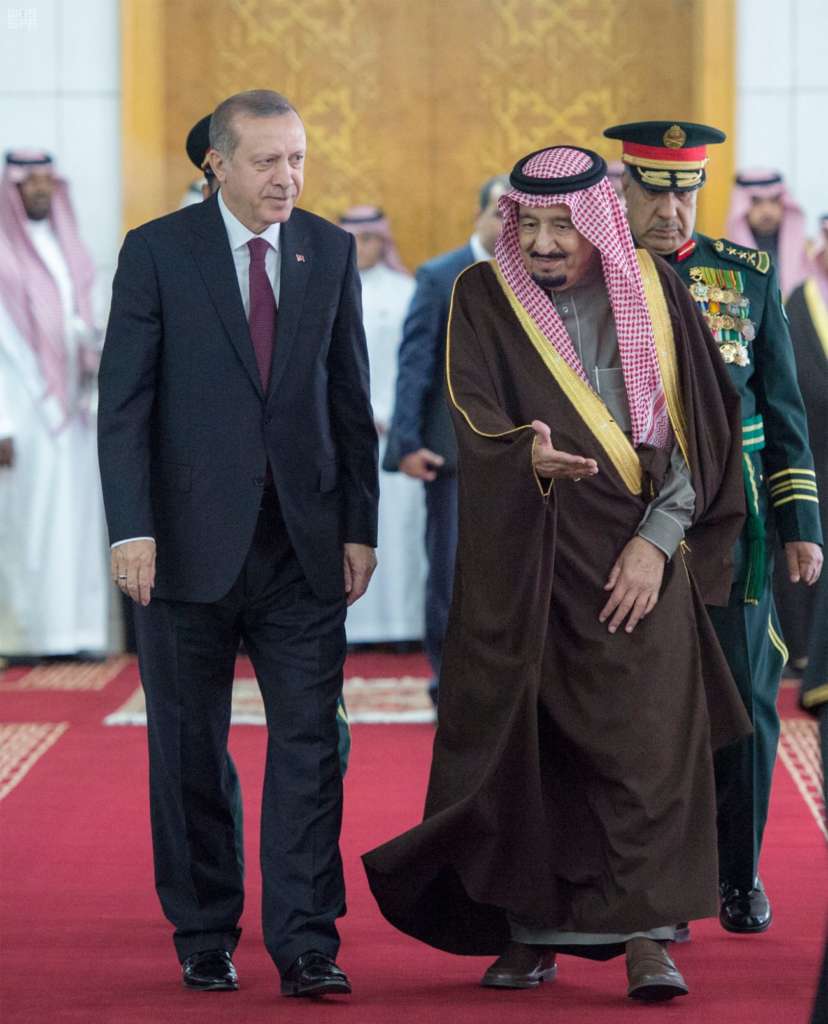 Saudi King Salman, Erdogan Review Regional Developments