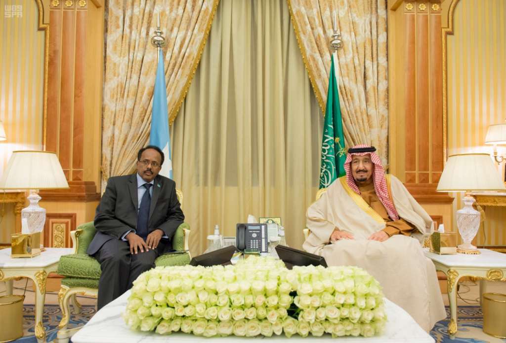 Saudi-Somali Summit Discusses Bilateral Cooperation, Regional Developments