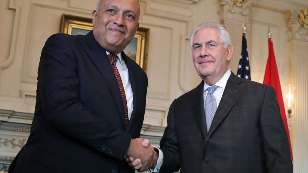 Egyptian FM and US Counterpart Review Regional Developments