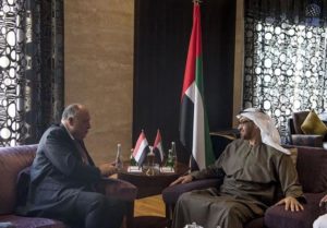 Mohamed bin Zayed receives Egypt's Foreign Minister