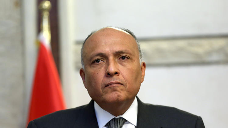 Arab-Egyptian Coordination Ahead of Sisi’s Visit to Washington