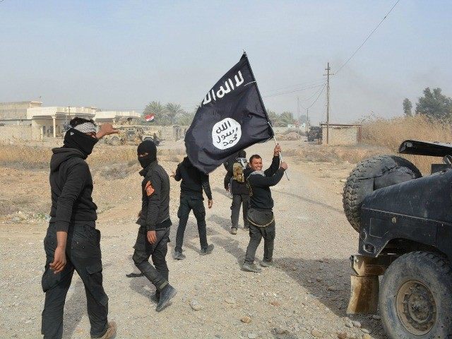 ISIS Militants Advancing Arms Development despite Losses