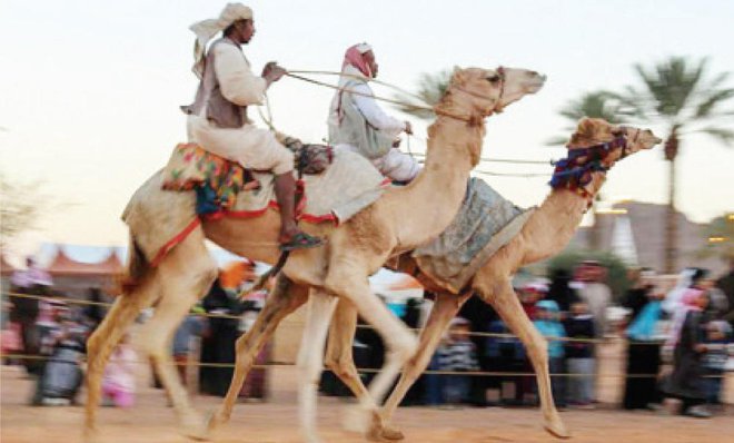 King Salman Invites Qatari Emir, UAE President to Attend Camel Festival