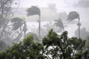 Strong wind and rain from Cyclone Debbie is seen effecting trees at Airlie Beach, located south of the northern Australian city of Townsville