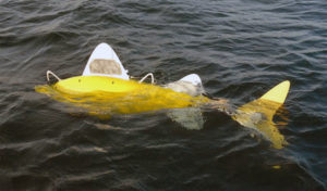 Robotic Fish to Monitor Water Pollution