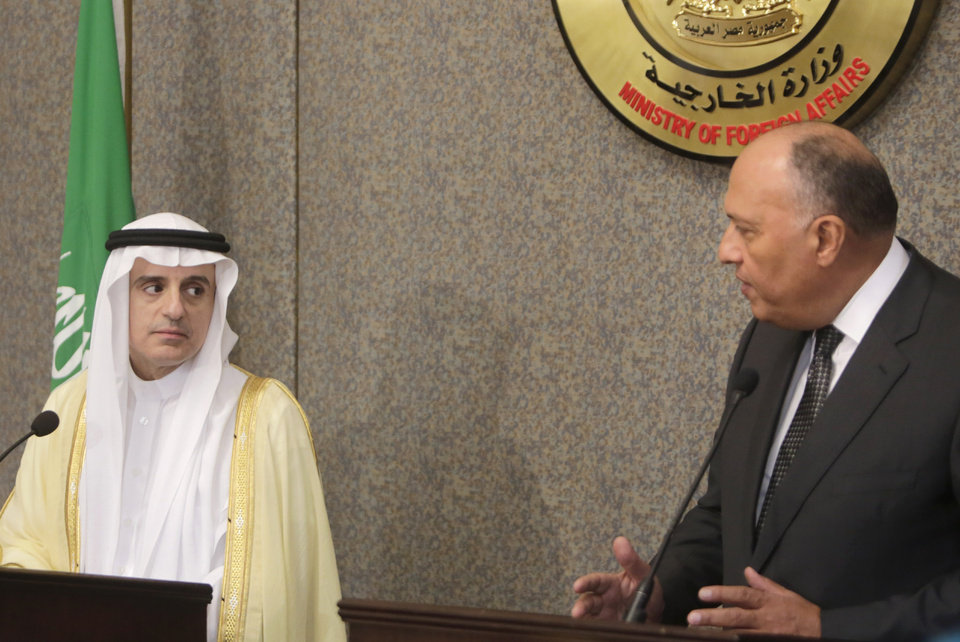 Jubeir, Shoukry Discuss Fighting Terrorism on Financial, Intellectual Levels