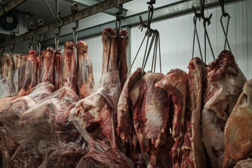 US Freezes Brazil Meat Imports over Safety Concerns