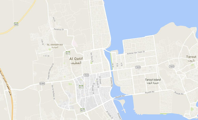 Egypt Condemns Terrorist Attack in Qatif