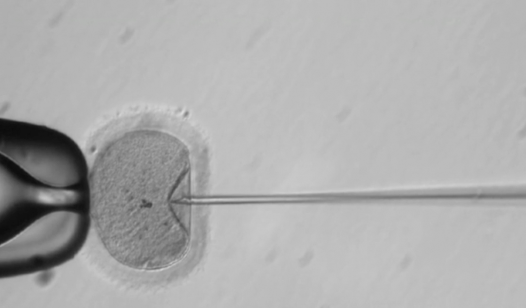 First Editing of Human Embryos in the US