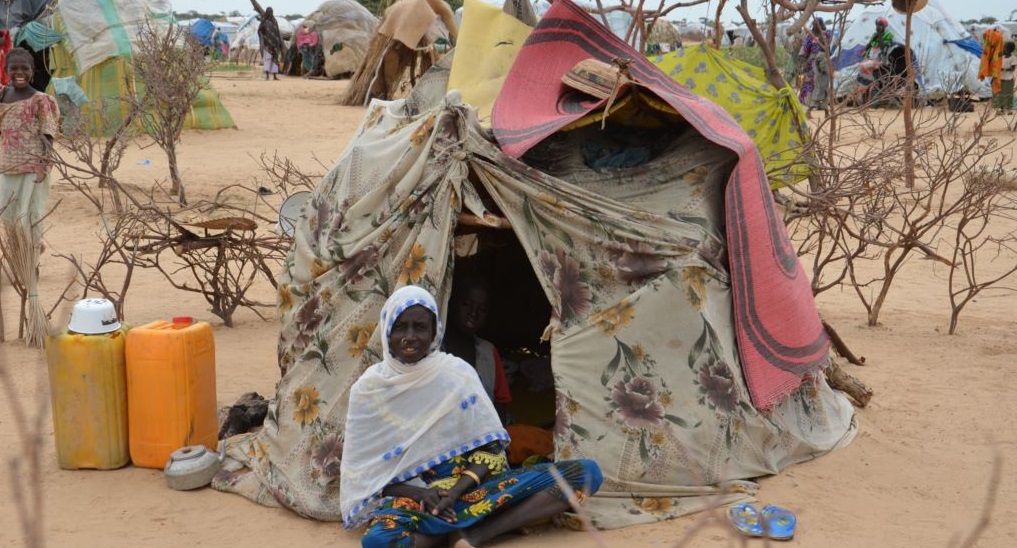Militants Kill Nine, Abduct Dozens in Niger