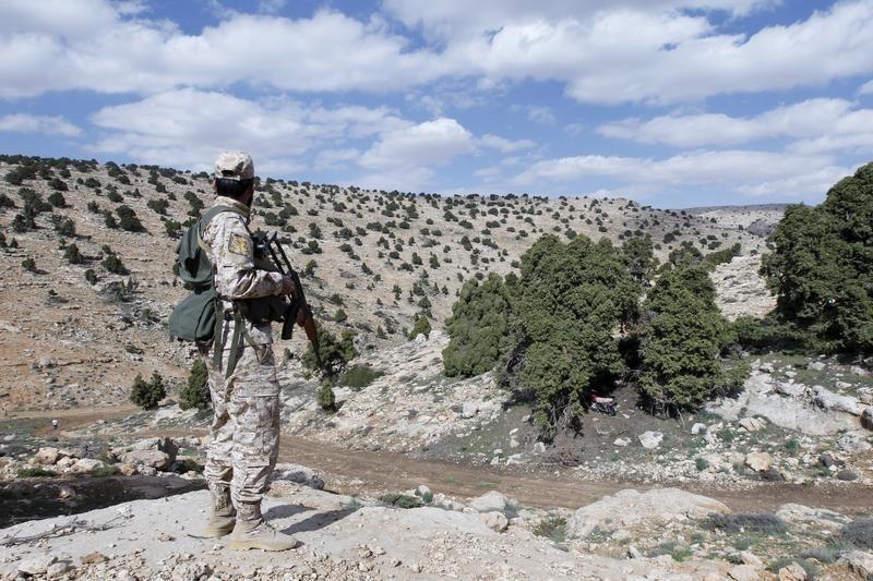 ‘Hezbollah’ Develops Iranian Drone to Use in Qalamoun Outskirts