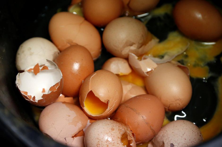 Some Egg Products Contaminated with Insecticide Found in Austria