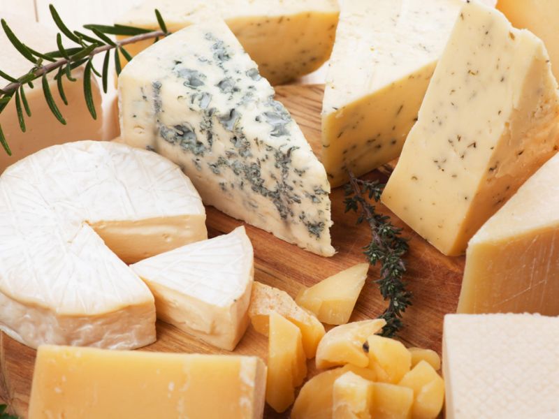 Study: Cheese Contains Chemical Substance that Triggers Addiction