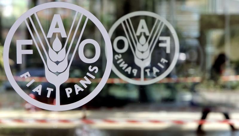 FAO Chooses Egypt to Start Journey to Fight Hunger in Near East, North Africa