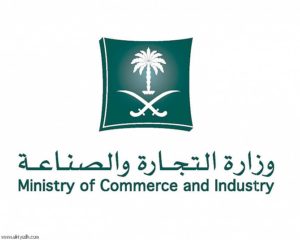 Saudi Arabia Issues Guide for Licensing 274 Commercial Activities