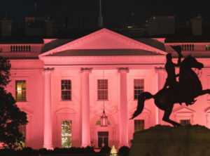 The White House is lit by pink lights in honor of Breast Cancer Awareness Month.
