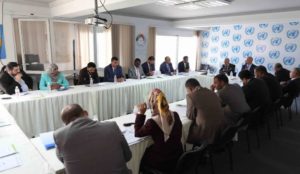 Meeting of the Joint Drafting Committee in Tunis